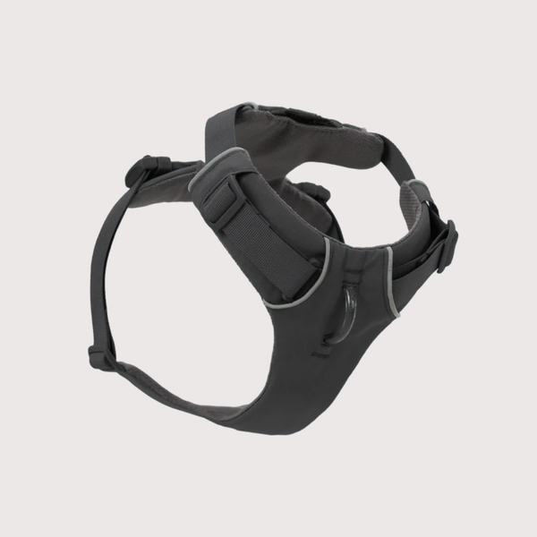 [預購] Ruffwear Front Range® Harness 工字型胸背帶｜BASALT GRAY 玄武岩灰