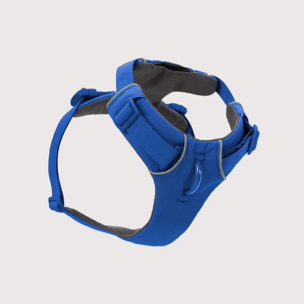 [預購] Ruffwear Front Range® Harness 工字型胸背帶｜BLUE POOL 墨池藍