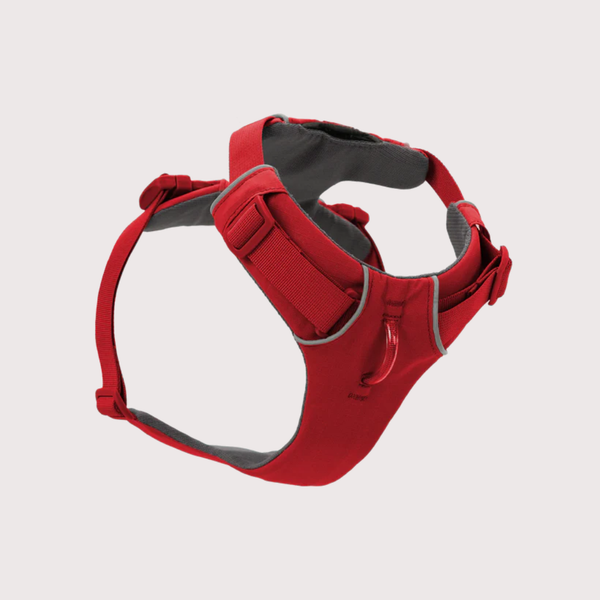 [預購] Ruffwear Front Range® Harness 工字型胸背帶｜RED CANYON 峽谷紅