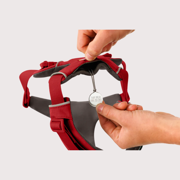 [預購] Ruffwear Front Range® Harness 工字型胸背帶｜RED CANYON 峽谷紅