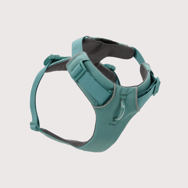 [預購] Ruffwear Front Range® Harness 工字型胸背帶｜RIVER ROCK GREEN 河岩綠