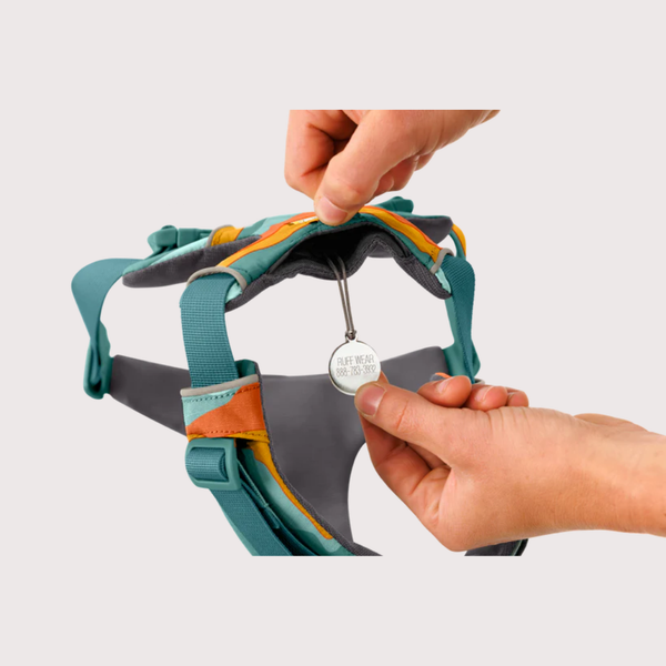 [預購] Ruffwear Front Range® Harness 工字型胸背帶｜SPRING MOUNTAINS 春日山脈