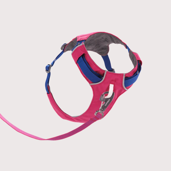 [預購] Ruffwear Hi & Light™ Lightweight Harness 輕型胸背帶｜ALPENGLOW PINK 朝霞粉