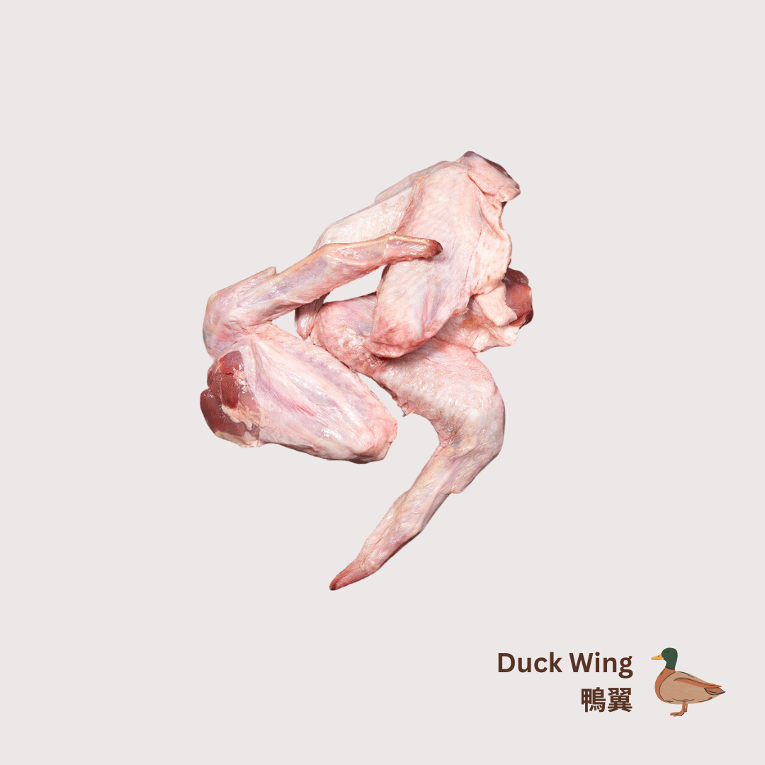 KB BARF Duck Wings 鴨翼 1kg