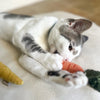 Lambwolf Kitty Baby Carrot 蘿蔔仔