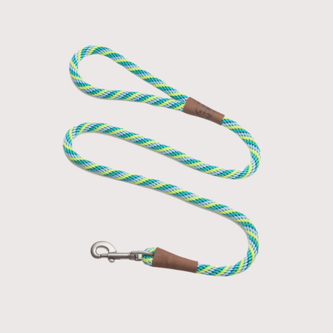 Mendota Snap Leash 1/2’’ x 4’｜Seafoam