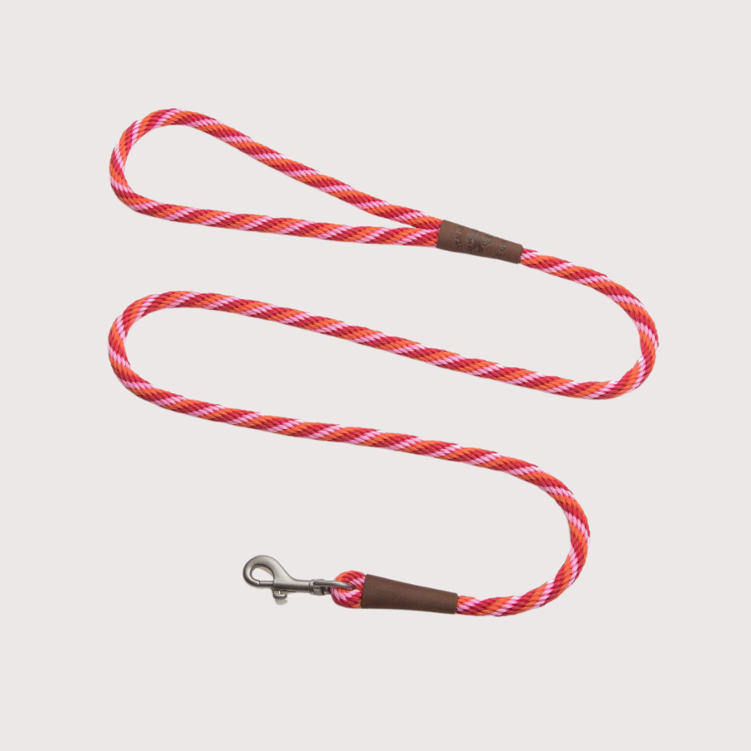 Mendota Small Snap Leash 3/8’’ x 6’｜Taffy